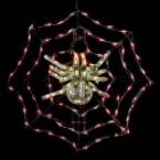 Illuminated Creeping Spider