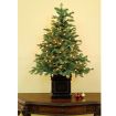 The Tabletop Prelit Noble Tree.
