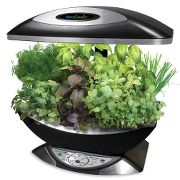 The Kitchen Counter Herb Garden. at Hammacher Schlemmer from hammacher.com