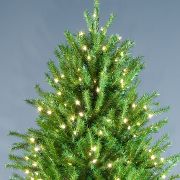  The Last Minute Instant Tree.