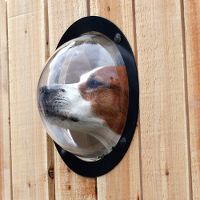 dog in fence porthole