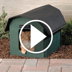 Watch The Only Outdoor Heated Cat Shelter in action