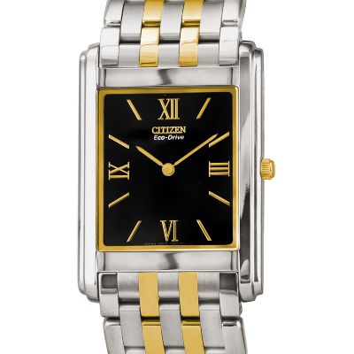 Citizen® Eco-Drive™ Two-Tone Men's Watch