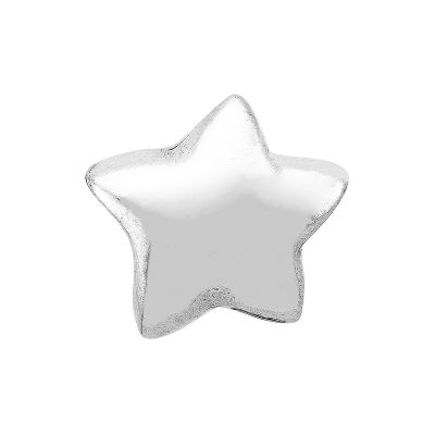Star Stopper Charm