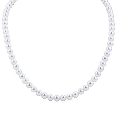 Honora™ 24