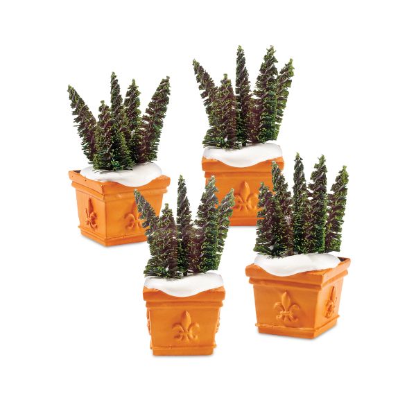 ""Potted Spruce Tops""
