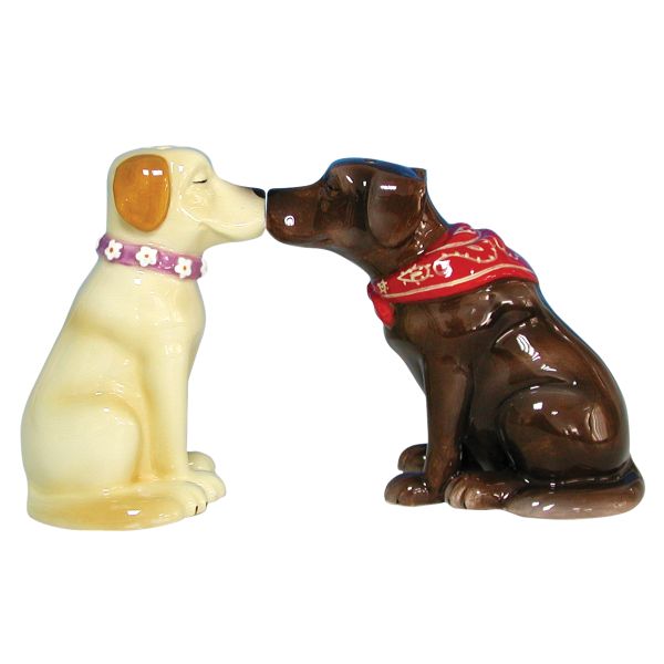 Labrador Retrievers Magnetic Salt & Pepper Set
