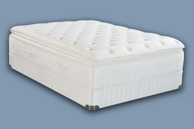 COLLAMORE EURO PLUSH