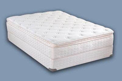 BUTLER EURO PILLOW TOP PLUSH
