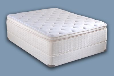 TUCKERS POINT LUXURY PILLOW TOP PLUSH by Sealy®