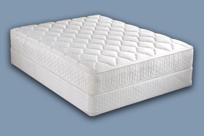 Back Saver Magnolia Park Plush