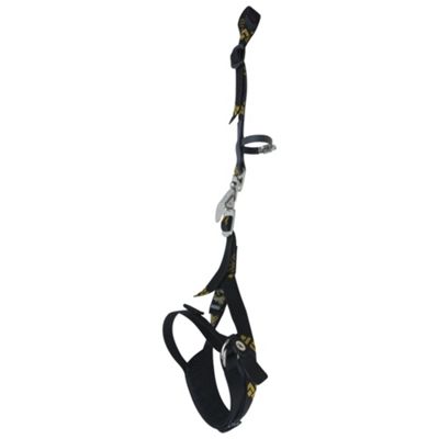 Reviews for Android Leash