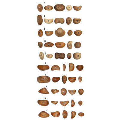 Metolius Wood Grips