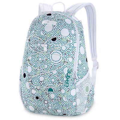 Dakine Transit Pack (Fall 2008)