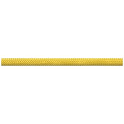 Beal Joker 9.1 DryCover Rope