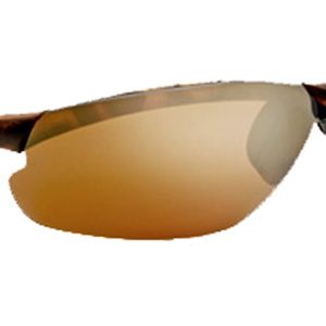 Native Dash XP Sunglass Replacement Lens (Fall 2006)