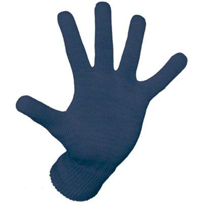 Icebreaker Glove (Fall 2007)