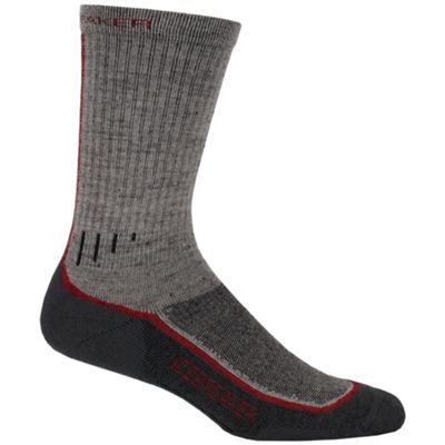 Deal of the Day