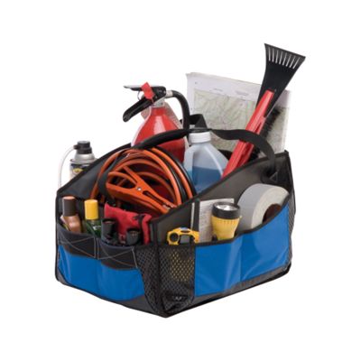 Thule Go Bin