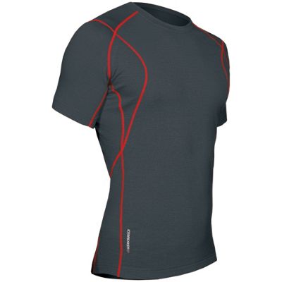Icebreaker Men's SS Velocity Crew