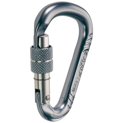 CAMP Picto Screw Gate