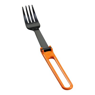 MSR Fork