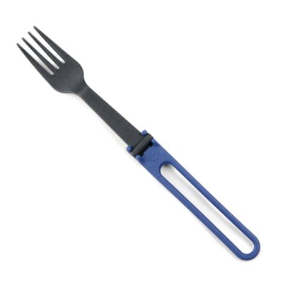 MSR Fork