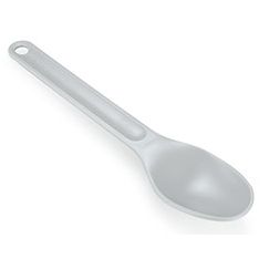 GSI Spoon