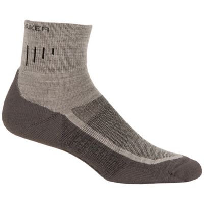 Icebreaker Men's Hiker Lite Mini