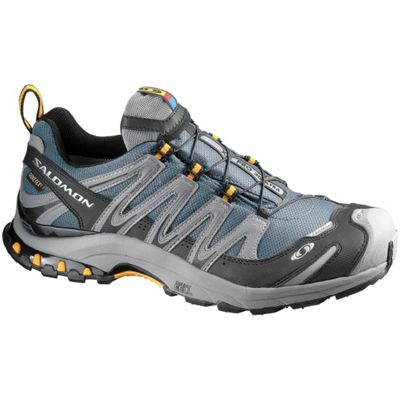 Salomon Men's XA Pro 3D Ultra GTX Shoe