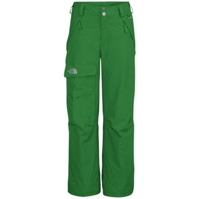 The North Face Boys' Freedom Insulated Pant