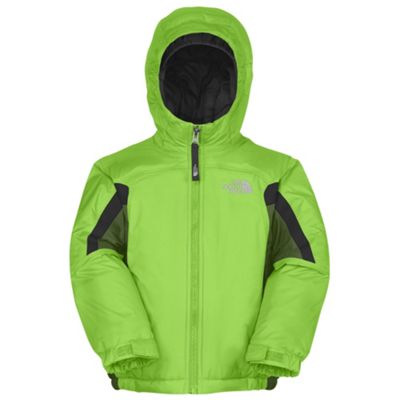 The North Face Toddler Boys' Insulated Out Of Bounds Jacket