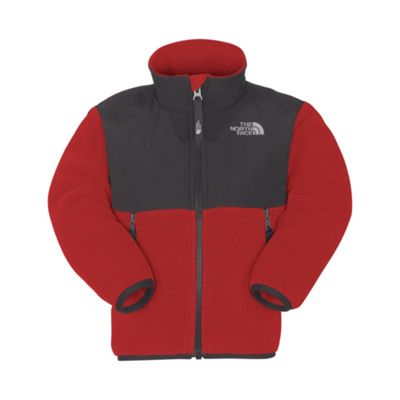The North Face Toddler Boys' Denali Jacket