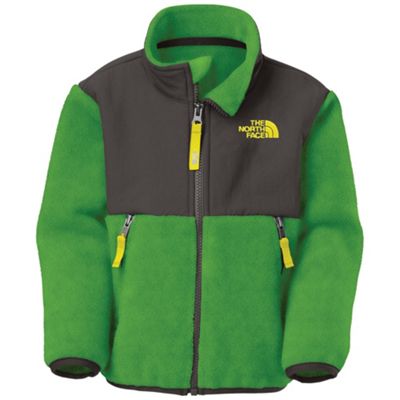 The North Face Toddler Boys' Denali Jacket