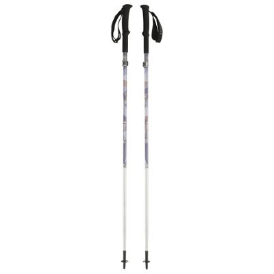 Black Diamond Distance FL Trekking Poles - Pair