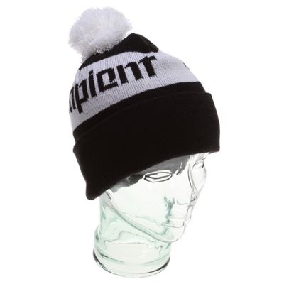 Sapient Too Sapient Beanie - Men's
