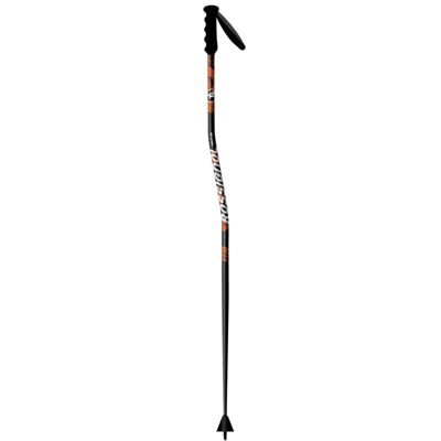 Rossignol Radical GS/SG Ski Poles