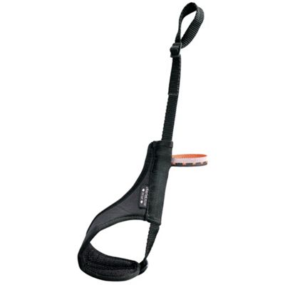 Petzl Free Lock Leash (Fall 2006)