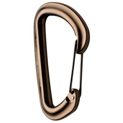 Black Diamond HotWire Carabiner