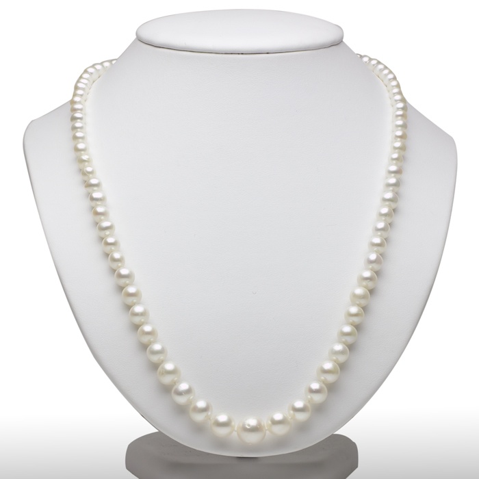Cultured Freshwater Pearl Necklace in Sterling Silver