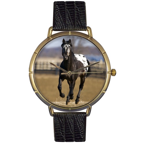 Appaloosa Horse Photo Watch in Gold Unisex