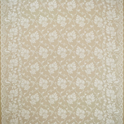 Homecoming Lace - White
