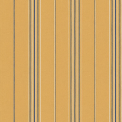 Waterline Stripe  - Yellow