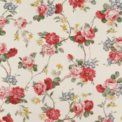 Daniella Floral  - Cream