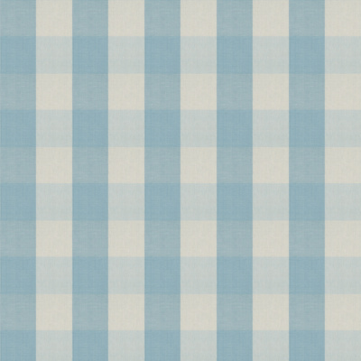 Bedford Gingham - Light Blue