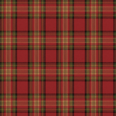 Field Jacket Plaid - Red/Olive