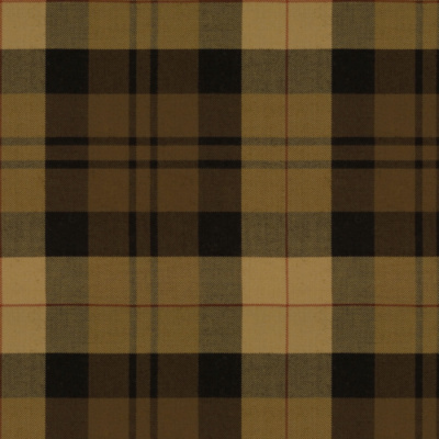 Kensall Plaid - Chestnut/Onyx
