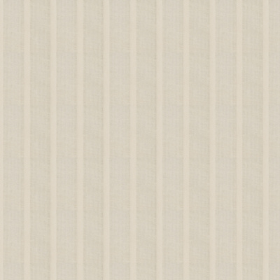 Densmore Stripe - Parchment