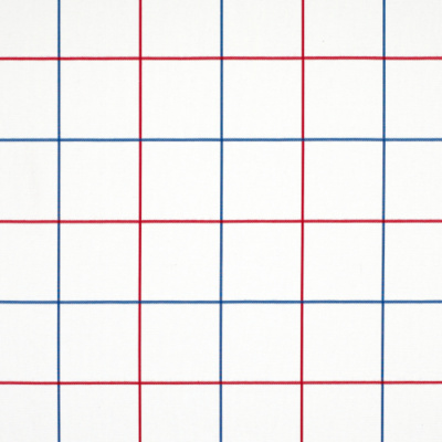 Glasshouse Plaid- Red/Blue
