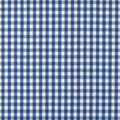 Tanager Gingham – Blue